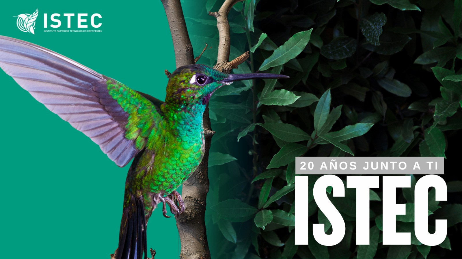 WhatsApp Image 2025-12-12 at 10.53.40 PM